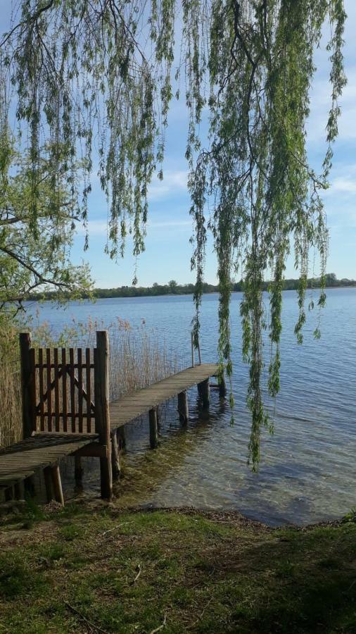 Appartements Am Schaalsee Zarrentin am Schaalsee Ngoại thất bức ảnh